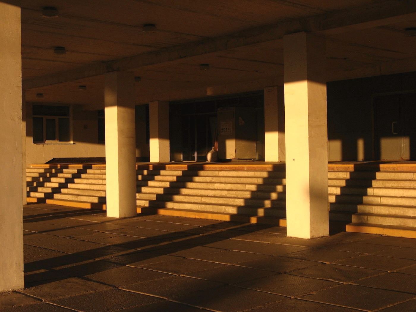 Columnas y escalinata de un edificio, bañadas por la luz dorada de la tarde.