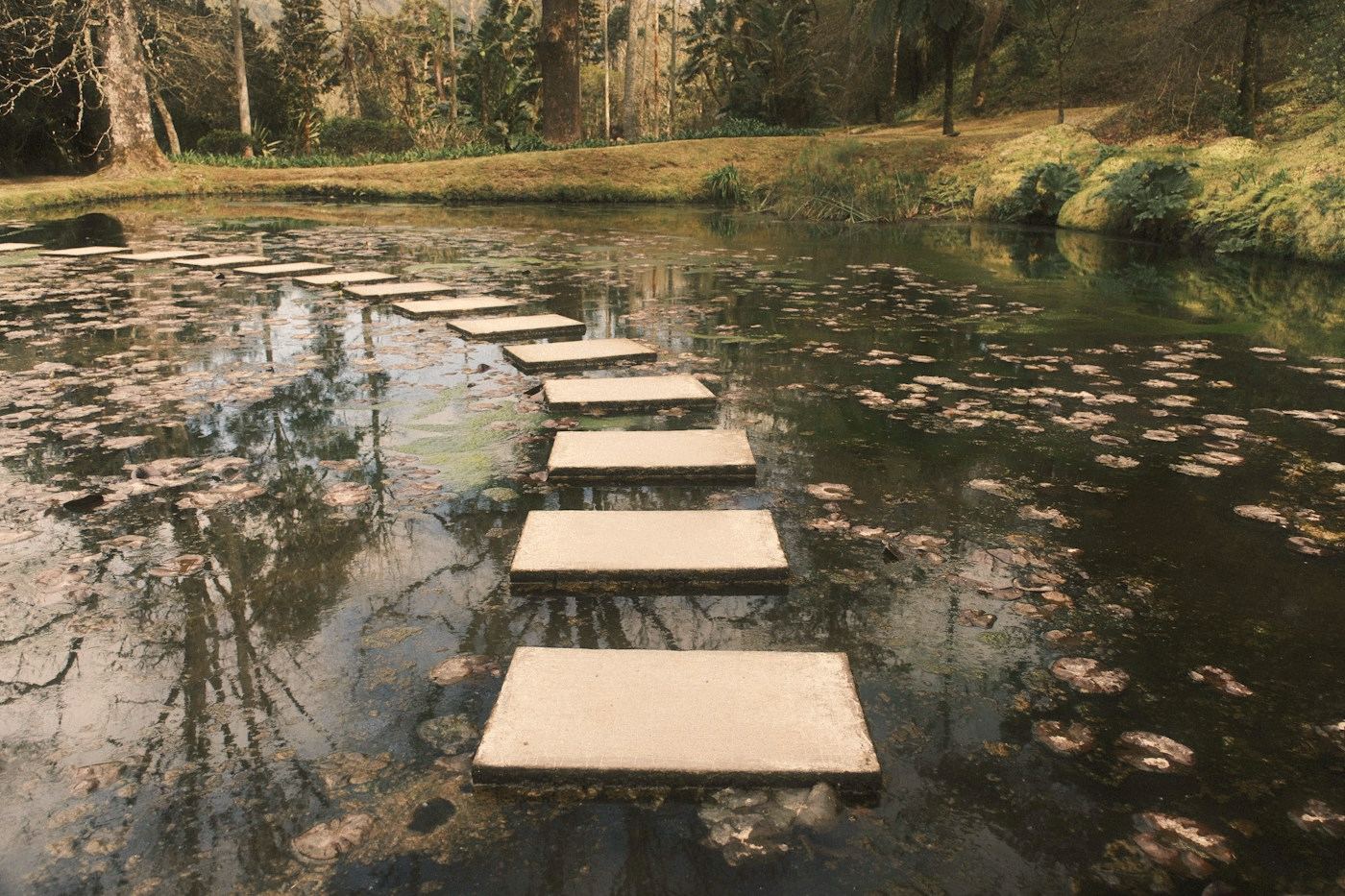 Un camino de piedras planas cruza un estanque, una detrás de otra.