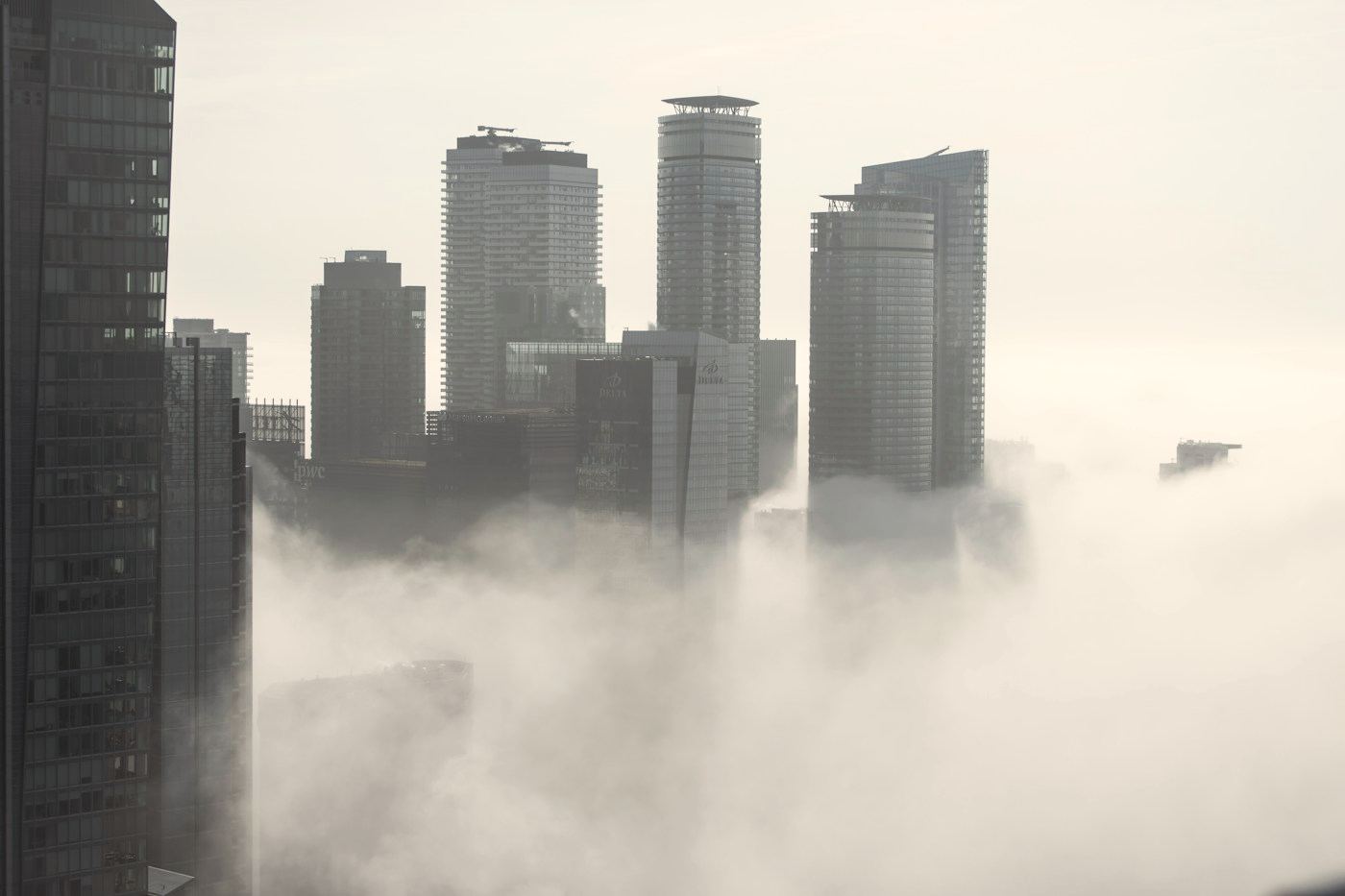 Rascacielos que asoman por encima de un banco de niebla.